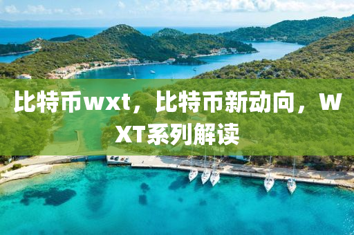 比特幣wxt，比特幣新動(dòng)向，WXT系列解讀