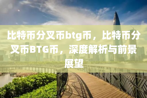 比特幣分叉幣btg幣，比特幣分叉幣BTG幣，深度解析與前景展望