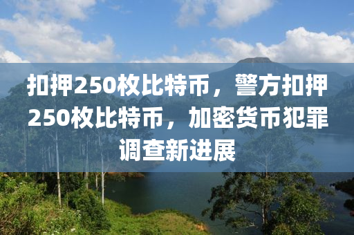 扣押250枚比特幣，警方扣押250枚比特幣，加密貨幣犯罪調(diào)查新進(jìn)展