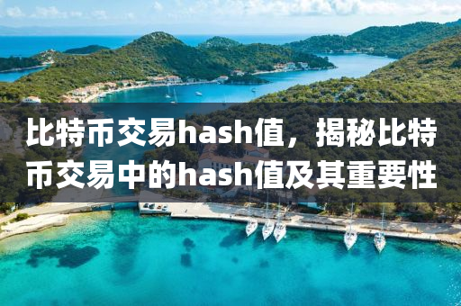 比特幣交易hash值，揭秘比特幣交易中的hash值及其重要性