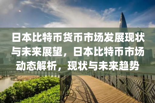 日本比特幣貨幣市場發(fā)展現(xiàn)狀與未來展望，日本比特幣市場動態(tài)解析，現(xiàn)狀與未來趨勢