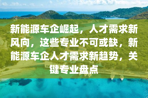 新能源車企崛起，人才需求新風(fēng)向，這些專業(yè)不可或缺，新能源車企人才需求新趨勢，關(guān)鍵專業(yè)盤點