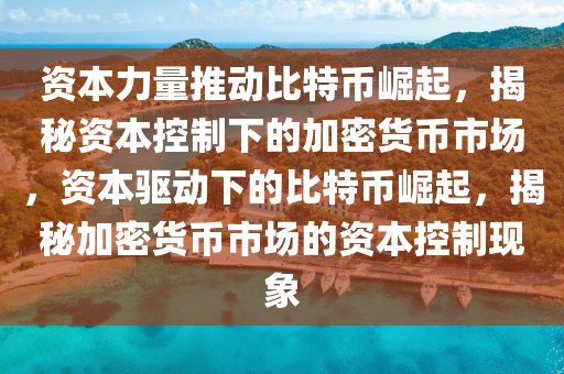 資本力量推動比特幣崛起，揭秘資本控制下的加密貨幣市場，資本驅(qū)動下的比特幣崛起，揭秘加密貨幣市場的資本控制現(xiàn)象