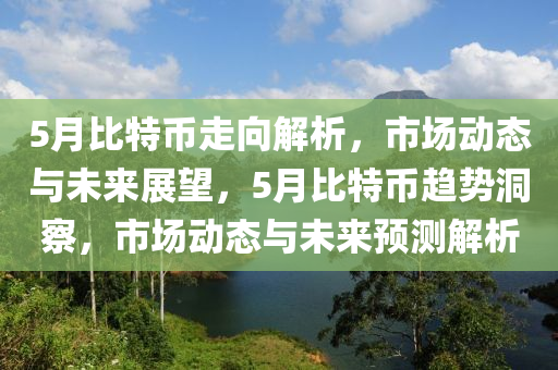 5月比特幣走向解析，市場動態(tài)與未來展望，5月比特幣趨勢洞察，市場動態(tài)與未來預(yù)測解析