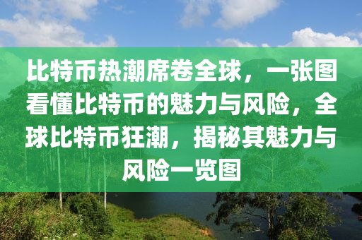 比特幣熱潮席卷全球，一張圖看懂比特幣的魅力與風(fēng)險(xiǎn)，全球比特幣狂潮，揭秘其魅力與風(fēng)險(xiǎn)一覽圖