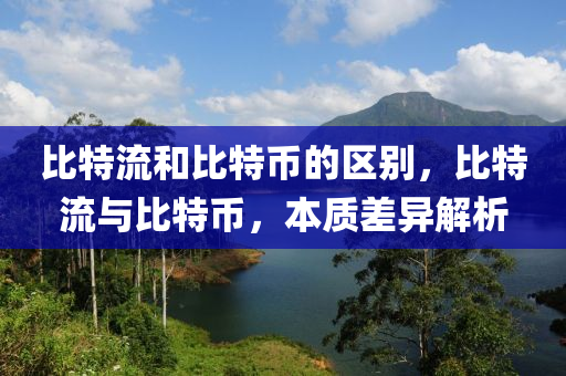 比特流和比特幣的區(qū)別，比特流與比特幣，本質差異解析