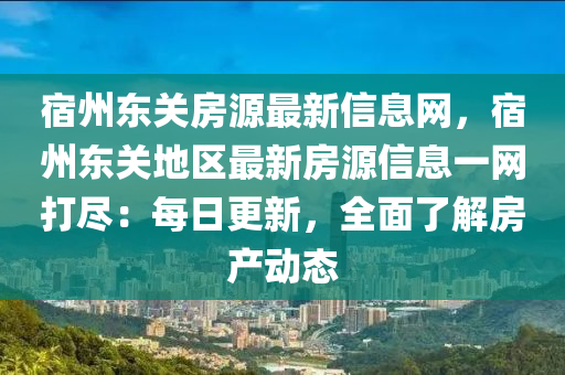 宿州東關房源最新信息網，宿州東關地區(qū)最新房源信息一網打盡：每日更新，全面了解房產動態(tài)