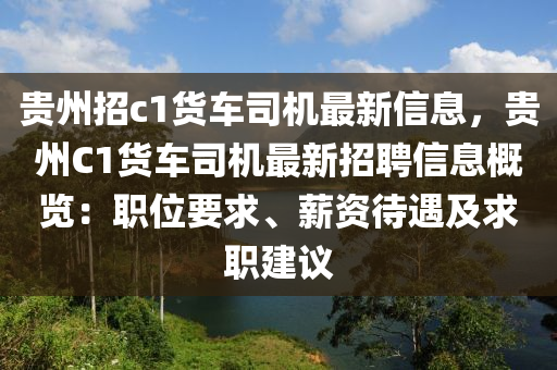 貴州招c1貨車司機最新信息，貴州C1貨車司機最新招聘信息概覽：職位要求、薪資待遇及求職建議