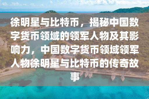 徐明星與比特幣，揭秘中國(guó)數(shù)字貨幣領(lǐng)域的領(lǐng)軍人物及其影響力，中國(guó)數(shù)字貨幣領(lǐng)域領(lǐng)軍人物徐明星與比特幣的傳奇故事