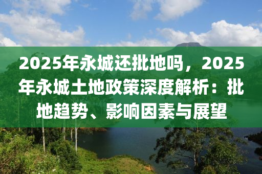 2025年永城還批地嗎，2025年永城土地政策深度解析：批地趨勢、影響因素與展望