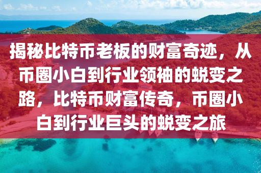 揭秘比特幣老板的財富奇跡，從幣圈小白到行業(yè)領(lǐng)袖的蛻變之路，比特幣財富傳奇，幣圈小白到行業(yè)巨頭的蛻變之旅