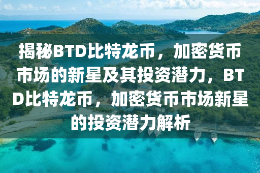 揭秘BTD比特龍幣，加密貨幣市場(chǎng)的新星及其投資潛力，BTD比特龍幣，加密貨幣市場(chǎng)新星的投資潛力解析