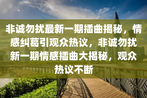 非誠勿擾最新一期插曲揭秘，情感糾葛引觀眾熱議，非誠勿擾新一期情感插曲大揭秘，觀眾熱議不斷