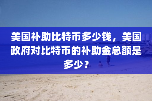 美國補助比特幣多少錢，美國政府對比特幣的補助金總額是多少？