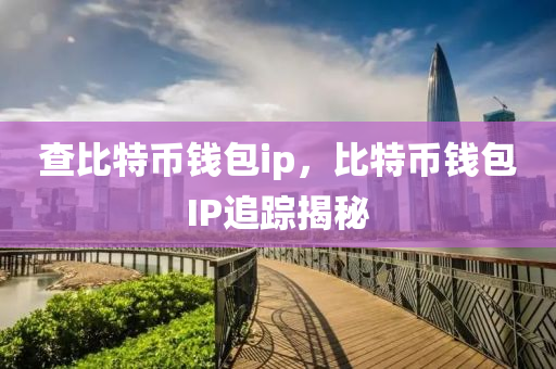 查比特幣錢包ip，比特幣錢包IP追蹤揭秘