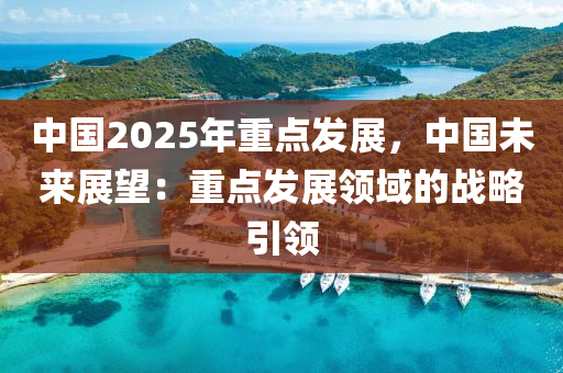 中國(guó)2025年重點(diǎn)發(fā)展，中國(guó)未來(lái)展望：重點(diǎn)發(fā)展領(lǐng)域的戰(zhàn)略引領(lǐng)