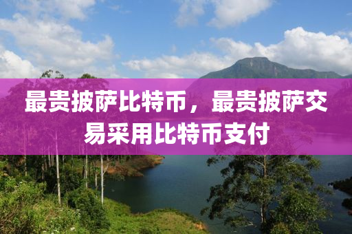 最貴披薩比特幣，最貴披薩交易采用比特幣支付