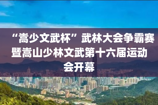 “嵩少文武杯”武林大會爭霸賽暨嵩山少林文武第十六屆運動會開幕