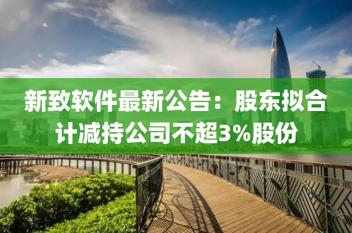 新致軟件最新公告：股東擬合計(jì)減持公司不超3%股份