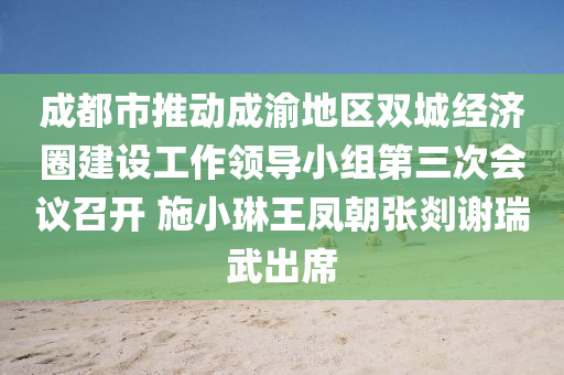 成都市推動成渝地區(qū)雙城經濟圈建設工作領導小組第三次會議召開 施小琳王鳳朝張剡謝瑞武出席