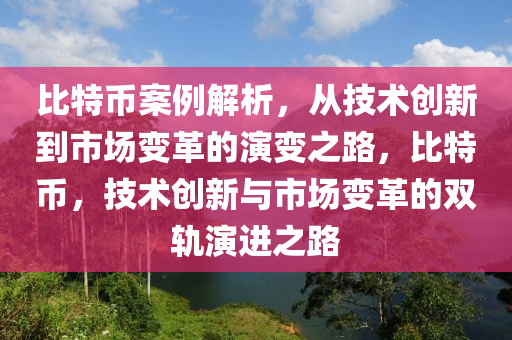 比特幣案例解析，從技術創(chuàng)新到市場變革的演變之路，比特幣，技術創(chuàng)新與市場變革的雙軌演進之路