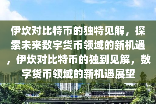 伊坎對比特幣的獨特見解，探索未來數(shù)字貨幣領(lǐng)域的新機(jī)遇，伊坎對比特幣的獨到見解，數(shù)字貨幣領(lǐng)域的新機(jī)遇展望