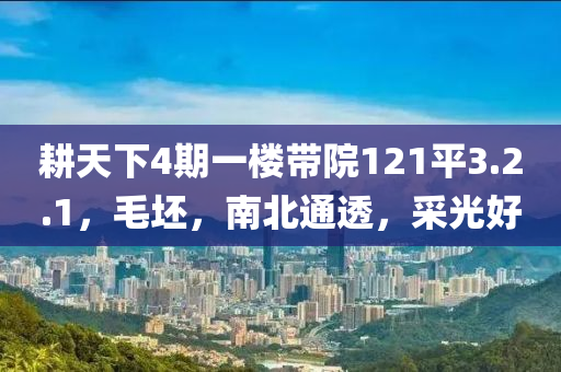 耕天下4期一樓帶院121平3.2.1，毛坯，南北通透，采光好