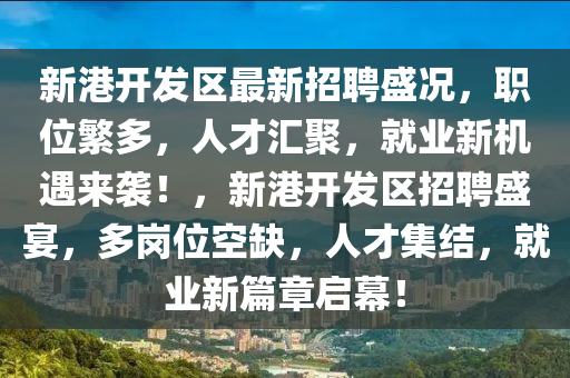 新港開發(fā)區(qū)最新招聘盛況，職位繁多，人才匯聚，就業(yè)新機(jī)遇來襲！，新港開發(fā)區(qū)招聘盛宴，多崗位空缺，人才集結(jié)，就業(yè)新篇章啟幕！