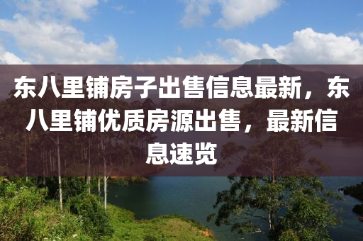 東八里鋪房子出售信息最新，東八里鋪優(yōu)質(zhì)房源出售，最新信息速覽