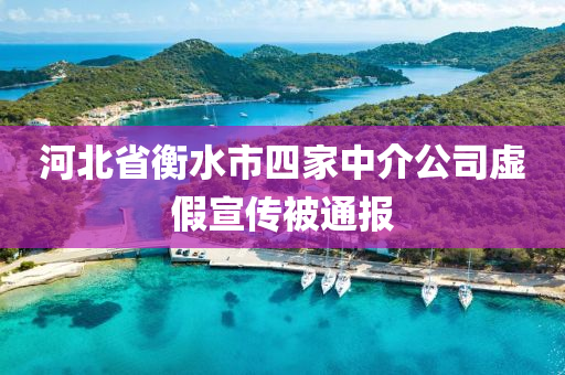 河北省衡水市四家中介公司虛假宣傳被通報(bào)