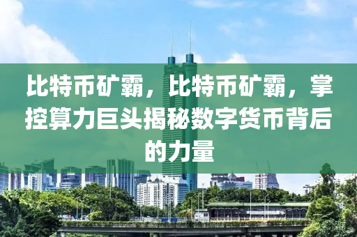 比特幣礦霸，比特幣礦霸，掌控算力巨頭揭秘數(shù)字貨幣背后的力量