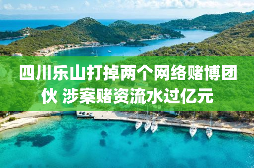 四川樂山打掉兩個網(wǎng)絡賭博團伙 涉案賭資流水過億元