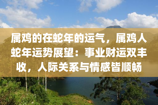 屬雞的在蛇年的運(yùn)氣，屬雞人蛇年運(yùn)勢展望：事業(yè)財(cái)運(yùn)雙豐收，人際關(guān)系與情感皆順暢