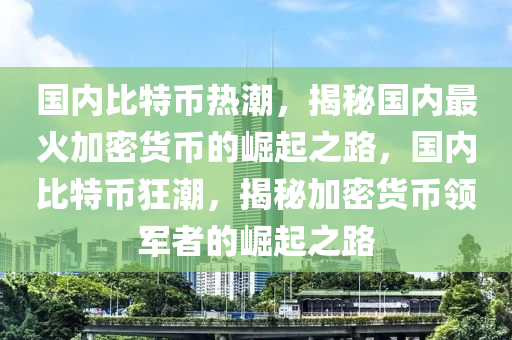 國內(nèi)比特幣熱潮，揭秘國內(nèi)最火加密貨幣的崛起之路，國內(nèi)比特幣狂潮，揭秘加密貨幣領(lǐng)軍者的崛起之路