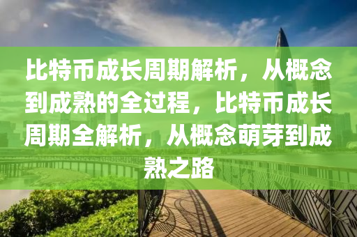 比特幣成長周期解析，從概念到成熟的全過程，比特幣成長周期全解析，從概念萌芽到成熟之路