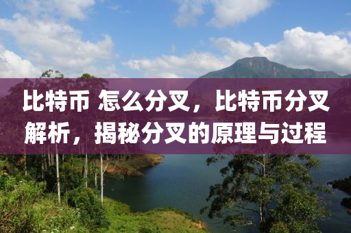 比特幣 怎么分叉，比特幣分叉解析，揭秘分叉的原理與過程