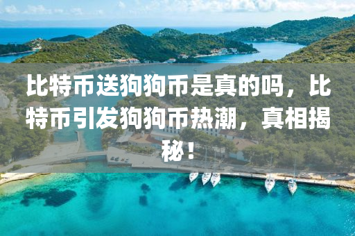 比特幣送狗狗幣是真的嗎，比特幣引發(fā)狗狗幣熱潮，真相揭秘！