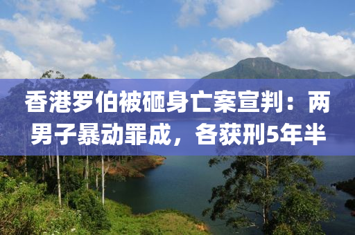 香港羅伯被砸身亡案宣判：兩男子暴動(dòng)罪成，各獲刑5年半