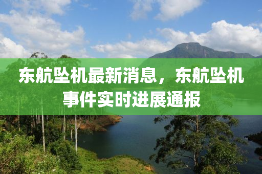 東航墜機(jī)最新消息，東航墜機(jī)事件實(shí)時(shí)進(jìn)展通報(bào)