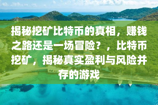 揭秘挖礦比特幣的真相，賺錢之路還是一場冒險？，比特幣挖礦，揭秘真實盈利與風(fēng)險并存的游戲