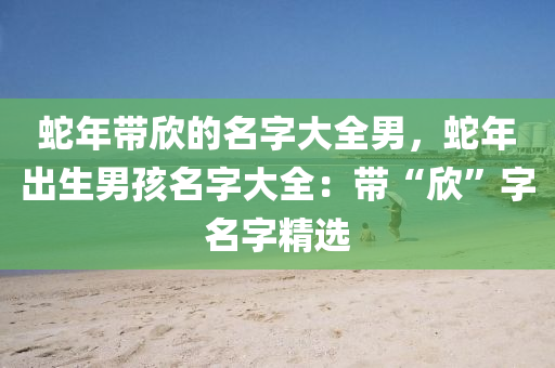 蛇年帶欣的名字大全男，蛇年出生男孩名字大全：帶“欣”字名字精選