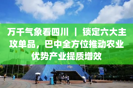 萬千氣象看四川 ｜ 鎖定六大主攻單品，巴中全方位推動農(nóng)業(yè)優(yōu)勢產(chǎn)業(yè)提質(zhì)增效