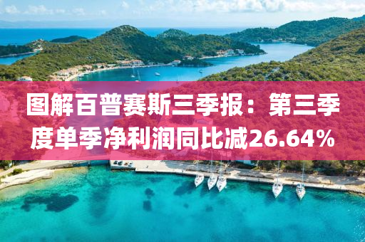 圖解百普賽斯三季報(bào)：第三季度單季凈利潤同比減26.64%