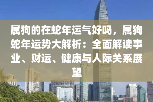 屬狗的在蛇年運氣好嗎，屬狗蛇年運勢大解析：全面解讀事業(yè)、財運、健康與人際關(guān)系展望