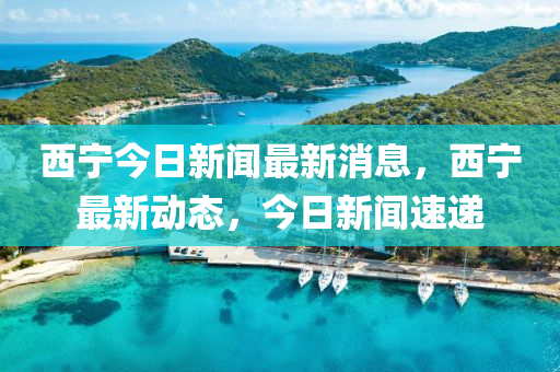 西寧今日新聞最新消息，西寧最新動態(tài)，今日新聞速遞