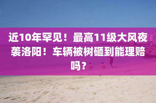 近10年罕見！最高11級大風(fēng)夜襲洛陽！車輛被樹砸到能理賠嗎？