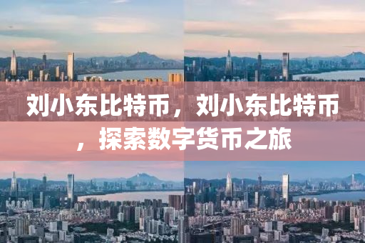 劉小東比特幣，劉小東比特幣，探索數(shù)字貨幣之旅