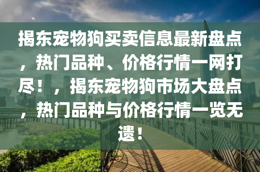 揭東寵物狗買賣信息最新盤點(diǎn)，熱門品種、價(jià)格行情一網(wǎng)打盡！，揭東寵物狗市場(chǎng)大盤點(diǎn)，熱門品種與價(jià)格行情一覽無遺！