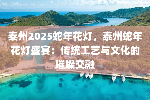 泰州2025蛇年花燈，泰州蛇年花燈盛宴：傳統(tǒng)工藝與文化的璀璨交融