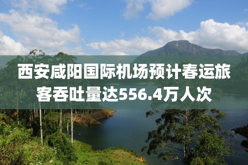 西安咸陽國際機場預計春運旅客吞吐量達556.4萬人次